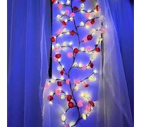 Genérico Romantic Roses Flower String Lights USB LED Fairy Lights for Weddings Valentine's Day Decorations Vine String Lights for Bedrooms Living Rooms for Friends Family and Colleagues Soft and Coz