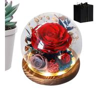 Genérico rosa conservada - Regalo de eterna, decoración romántica, floración | Accesorio de hogar elegante para dormitorio, mesilla de noche, estantería, oficina, boda, cumpleaños, Sai