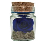Genérico Rosa eterna Azul. Mini. Cubo de Vidrio. Rosa preservada Azul Natural Eterna. Rosa eterna Azul. Flores preservadas.