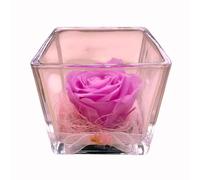 Genérico Rosa Eterna Morada Malva. Cubo de Cristal. Rosa Morada Malva Natural preservada. Rosa Morada eterna. Rosa preservada Morada. Hecho en España.