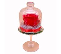 Genérico Rosa ETERNA ROJA. Cúpula de Cristal con Base. Decoración Romántica. Rosa roja Preservada. Flor ROJA. Regalo Orginal. Enamorados, cumpleaños, Aniversario.