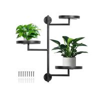 Genérico Rotating Window Plant Stand, Interior Pane Tier Plants Shelves, 3 pulgadas Stylish & Space Saving, Compact Multi Shrub Display Shelf for Small Flats Dorms, Bedroom, Library, Small Spaces