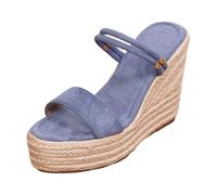 Genérico Sandalias Alpargatas de Cuña Mujer Sandalias de Tacón Alto Plataforma Punta Abierta Alpargatas Mujer Vestidas Para la Playa Vacaciones, azul 1, 42 EU