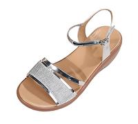 Genérico Sandalias Mujer Planas Sandalias Confort Mujer Omen'S Summer New European American Comercio Exterior Wshoes Con Tacón Inclinado Y de De Pez Cuña Verano (Silver,40)