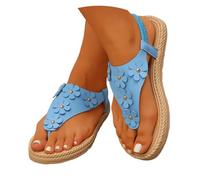 Genérico Sandalias Planas Negras Sandalias Mujer Tacon Women's Round Head Thick Bottom Hollow out Wear Clip Toe Thick Bottom Slope Heel Slippers Sandalia Cómodas Mujer Esparto (Sky Blue,38)