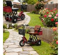 Genérico Scooter De 3 Ruedas Scooters De Plegables Autonomía Extendida De 45 Km con Cargador Y Cesta De Almacenami Plegable Desmontable,001