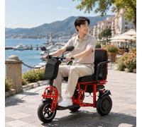 Genérico Scooter de Movilidad Eléctrico de 3 Ruedas Personas Mayores Plegable De con Asiento Incluye Cargador De Personas Mayores Scooter De Movilidad para Adultos y Personas Mayores,G