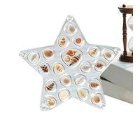 Genérico Seashell Holder Display Box - Transparent Case Acrylic Starfish And Seashell Storage Organizer For Displaying Sea Glass Shark Teeth Rings Earrings Collectibles
