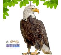 Genérico Señuelo de búho Falso, susto de pájaro Colgante con Campana, espantapájaros de halcón para jardín, Patio, Protector de Granja