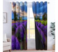 Genérico Set de 2 Paneles Cortinas de 160 cm de Largo, Campo Campos De Lavanda Campos De Flores Paisaje, Cortinas Opacas con Ojales para Ventanas de salón, Comedor o Dormitorio, Azul