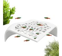 Generico Shrimp Cave - Acuario Resting Decoration | Resting Cave For Shrimp, Fish, Crustaceans & Reptiles, Aquarium or Terrarium Decoration For Indoor Habitat, Home, Office & Fish Tank