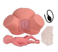 Genérico Simulador de formación de matronas Demostración de Parto Modelo de feto pélvico Femenino Posición fetal Normal anormal Maniquí de Parto Modelo de enseñanza