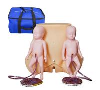 Genérico Simulador de Parto Modo de Entrenamiento de Habilidades de Parto de Gemelos, Modelo de Pelvis a Tamaño Real con 2 Modelos Fetal, 2 Cordones Umbilicales y 2 Placentas para Practicar