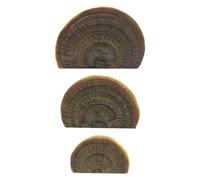 Genérico Simulation Resin Mushroom Shelves - Red Cap, White Stem, 3 Piece Set, Floating Shelf Wall Art For Room Decor, Small Item Organization | Wallets, Hairpins, Keys, Jewelry, Trinket Display