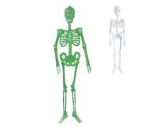 Genérico Skeleton Decorations - Human Skeleton, Giant Skeletal Frame| Realistic Full Body Human Bones for Outdoor Indoor Decorations | Skeletons with Movable Junts, Poseable Bone Structure