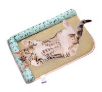 Genérico Sleeping Cold Bed for Pet | Dog Cooling Mat,Breathable Cat Sleeping Cushion, Hot Weather Puppy Cooling Pad for Living Room Backyard