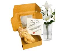 Genérico Small Bears, Stuffed Plush Bears, Handmade Little Animals, Pocket with Inspirational Card, Thoughtful Gift for Toddler, Children, Care Packages, Graduation, Mother’s Day