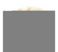 Genérico Small Cat Bed Plush Cushion - Soft Round Winter Pet Bed For Cats, Kittens & Small Dogs | Warm Washable Nest For Indoor Use, Idea F0r Pets