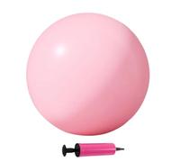 Genérico Small Ejercise Ball - 10 pulgadas PVC Anti-Burst Mini Pilates Ball | Compact Fitness Training Tool for Home Gym, Yoga, Shaping, Core Workouts, and Women's Ejercise