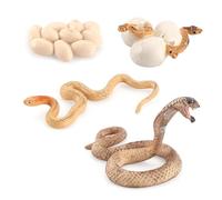 Genérico Snake Growth Cycle - PVC Biological Model Toyy | Life Cyclle Figuras Toy Set, Simulación Solid Snakke Growth Cycle Mold Figure Toy, Realistic Snake Ornamnet