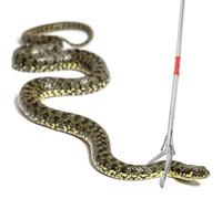 Genérico Snake Tongs | Stainless Steel Snakes Grabber Tool | Heavy Duty Professional Folding Reptiles Feeding Tong for Homeowners Hikers Gardeners Ranch Owners Backyard Wildlife Shelter Camping