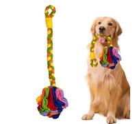Genérico Snuffle Ball, Interactive Soft Foraging Toy, Safe Washable Pet Puzzle Ball, Slow Feeder for Puppies, Indoor/Outdoor Entertainment and Activity Dispenser, Pink, Rainbow