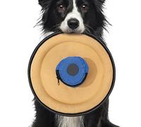 Genérico Soft Dog Flying Disc, Indestructible Canvas Pet Toy, Interactive Training Teeth-Friendly, Lightweight and Safe on Teeth with Snack Bag for Outdoor Sports, Fetch Games, 145g