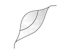 Genérico Sombrero De Lluvia para Mujer,con ala Reutilizable para Lluvia - Impermeable PE Sombrero De para Damas | para Dama, Novia, Madre, Viaje, Compras, Jardinería, Playa, Actividades Exteriores