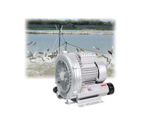 Genérico Soplador Industrial de Anillo vórtice, soplador de Gran caudal de Aire, aireador para estanques de Peces, Ventilador centrífugo regenerativo Potente de Alta presión, 110 V, 250/350/550 W.