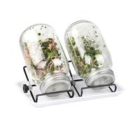 Generico Sprouting Jar Kit - Germinación de plantas saludables | Hydroponic Sprout Growing Kit for Gardeners Beginners Homesteaders Vegetarian Home Office Shelf