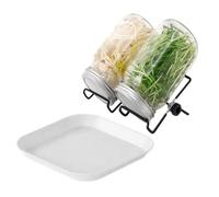 Generico Sprouting Jar Kit | Health Vegetables Germination | Hydroponic Sprout Growing Kit | For Gardeners Beginners Homesteaders Vegetarian Home Kitchen Apartment Windowsill Office Pantry Shelf