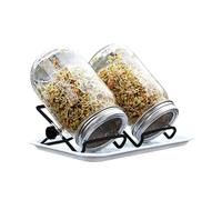 Genérico Sprouting Jar Kit, Health Vegetables Germination, Hydroponic Sprout Growing Kit, Jar Cultivation Kits, Jars Hydroponic Kits Sfor Gardeners Beginners Homesteaders Vegetarian Home Kitchen