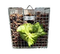 Genérico Staghorn Fern Wall Planter Basket | 304 Stainless Steel 16×18×8cm Rustproof Vertical Hanging Plant Holder For Indoor Outdoor Orchid Mount Planter | Durable Metal Flower Pot Support Rack