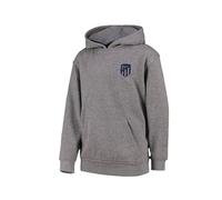 Genérico Sudadera Atlético de Madrid - Pasión Rojiblanca con Estilo y Confort | Ideal para Aficionados y Uso Diario (FR/ES, Edad, 3 años, Regular, Gris)