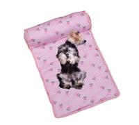 Genérico Tapis Rafraichissant Chien - Tapis De Refroidissement Pour Pet | Lit De Refroidissement Du Chat Pliable À La Soie Glacée | De Pour Pet, Rafraîchissant Chien | BRE