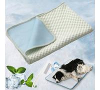Genérico Tappetino Rinfrescante per Cani, Cooling Mat Traspirante e Lavabile, Tappetino Estivo Pieghevole per Cani e Gatti, Morbido, Antiscivolo, Ideale per Casa, Cuccia, Divano e Viaggio (Green, XS)