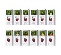 Genérico Teacher Keepsake | Fruit Shape Stocking Stuffers with Box | Cute Appreciation Gift for Students Kids Boys Girls | Classroom Reward Keepsake for School Graduation Birthday Teens