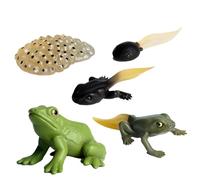 Genérico Tierlebenszyklus-Figuren - Pädagogisches Lernset | Realistische Wachstums-Modelle (Schmetterling, Schildkröte, Motte), Mint-Lernspielzeug Für Biologie & Naturkunde