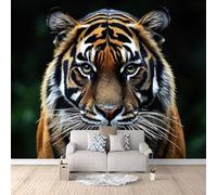 Genérico Tigre Papel pintado panorámico, 200×140cm, Bestias De La Selva, Tigres Papel pintado Tejido No Tejido decoración de pared, dormitorio, salón, póster de pared, XXL grande
