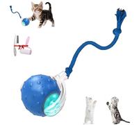 Genérico Tiny Fetch Dog Toy, Lifted Living Interactive Toys Rolling Balls, 360° Smart Automatic Rolling Pet Ball, Rechargeable Tough Chew Proof for Indoor Small/Medium for Dog and Cat (Blue)