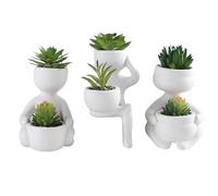 Genérico Tiny Plants, Three Piece Greenery, Desktop Centerpiece Ensemble, Decorative Ceramic Container, Office Shelf Arrangement, Perfect for Realistic Miniature Display