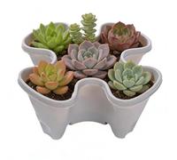 Genérico Torre de Macetas Verticales - Macetero Apilable Antideslizante y Seguro | Macetas para Interior y Exterior | para Jardines, Granjas, Patios, Balcones, Céspedes, Hogares y Apartamentos