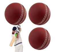 Genérico Training Ball Set - Professional Hand-Stitched Club Ball & Soft Tennis Practice Balls, Indoor/Outdoor Sports Gear | For Beginners & Garden Play