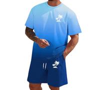 Genérico Traje Deportivo de Verano Estampado 3D Chándal Hombre Hawaii 2 Piezas Conjunto de Ropa Camisetas Manga Corta con Cuello Redondo Shorts Conjunto Verano para Hombres