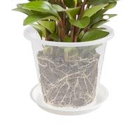 Genérico Transparent Plant Containers - Slotted Botanical Basins | Aerated Root Housing Plus Overflow Catchers & Ventilated Cultivation Jars for Succulents, Lilies, Herbs and Violets