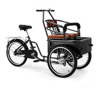 Genérico Triciclo Adulto 20 Pulgadas conducción inversa, Triciclo Carga Acero Alto Carbono con Asiento Pasajero Seguro, Capacidad 330LBS para Compras y desplazamientos