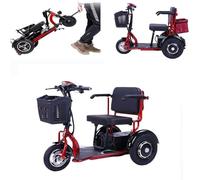 Genérico Triciclo Eléctrico para Adultos Plegable De 3 Ruedas con Asiento para Pasajero Autonomía Extendida De 45 Km Viene con Batería Cargador Y Cesta De Almacenami,001,The Fourth Type
