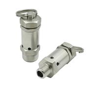Genérico Válvula de seguridad con microresorte de acero inoxidable 304, rosca externa BSPT NPT de 1/4" y 1/2", escape de 0,5 a 10 bar, apta for compresores de aire.(5 Bar Fixed,NPT_1/2")