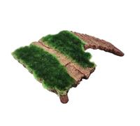 Genérico Vestido Mini de Encaje Off Shoulder,Manga Larga - Zona de Sol para Tortugas | para Rana, Reptil, Tortuga Terrestre, Galápago, Dragón Barbudo, Gecko Y Tortuga