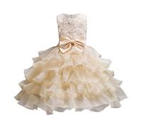 Genérico Vestido Niña Vestidos De Verano Vestido Infantil para Niñas Elegante Largo Sin Mangas De Malla para Cumpleaños Vestidos De Niña De Flores para Bodas